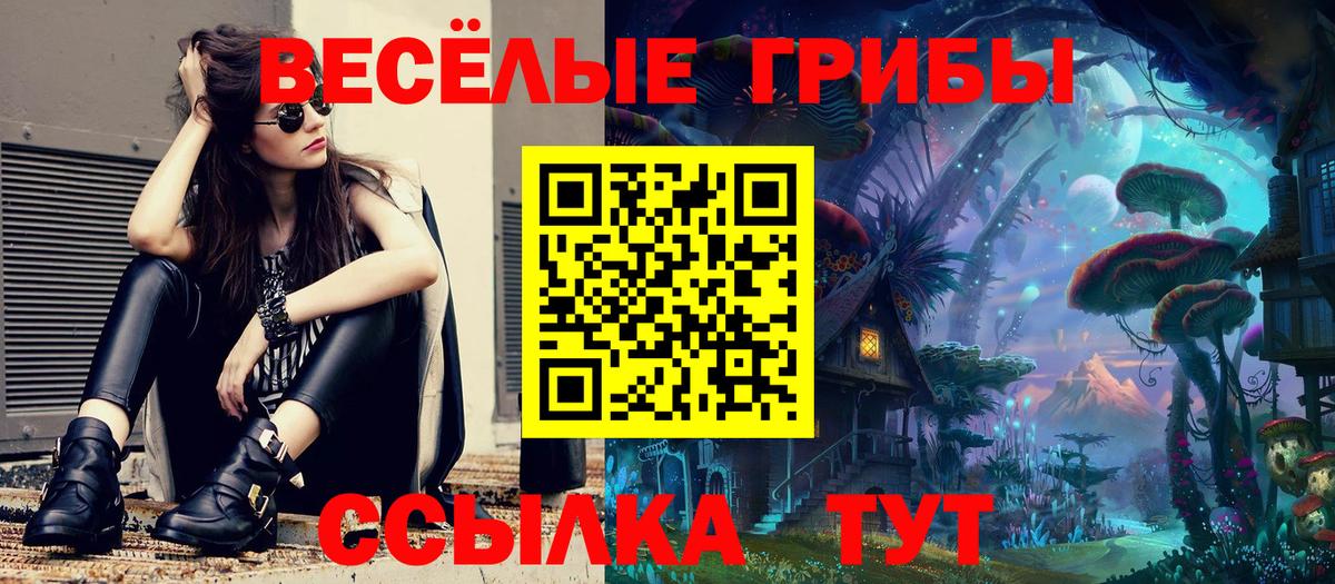 Псилоцибиновые грибы ЛСД  Псилоцибиновые грибы мухоморы  сколько стоит  Вход с VPN  Гулькевичи 