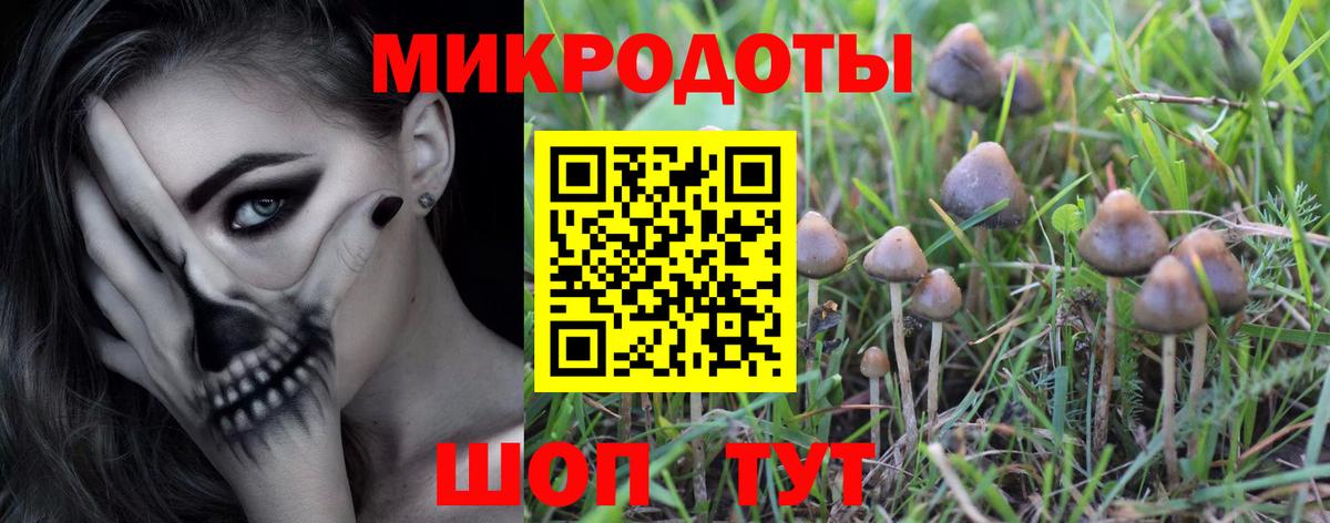 Галлюциногенные грибы MAGIC MUSHROOMS Гулькевичи